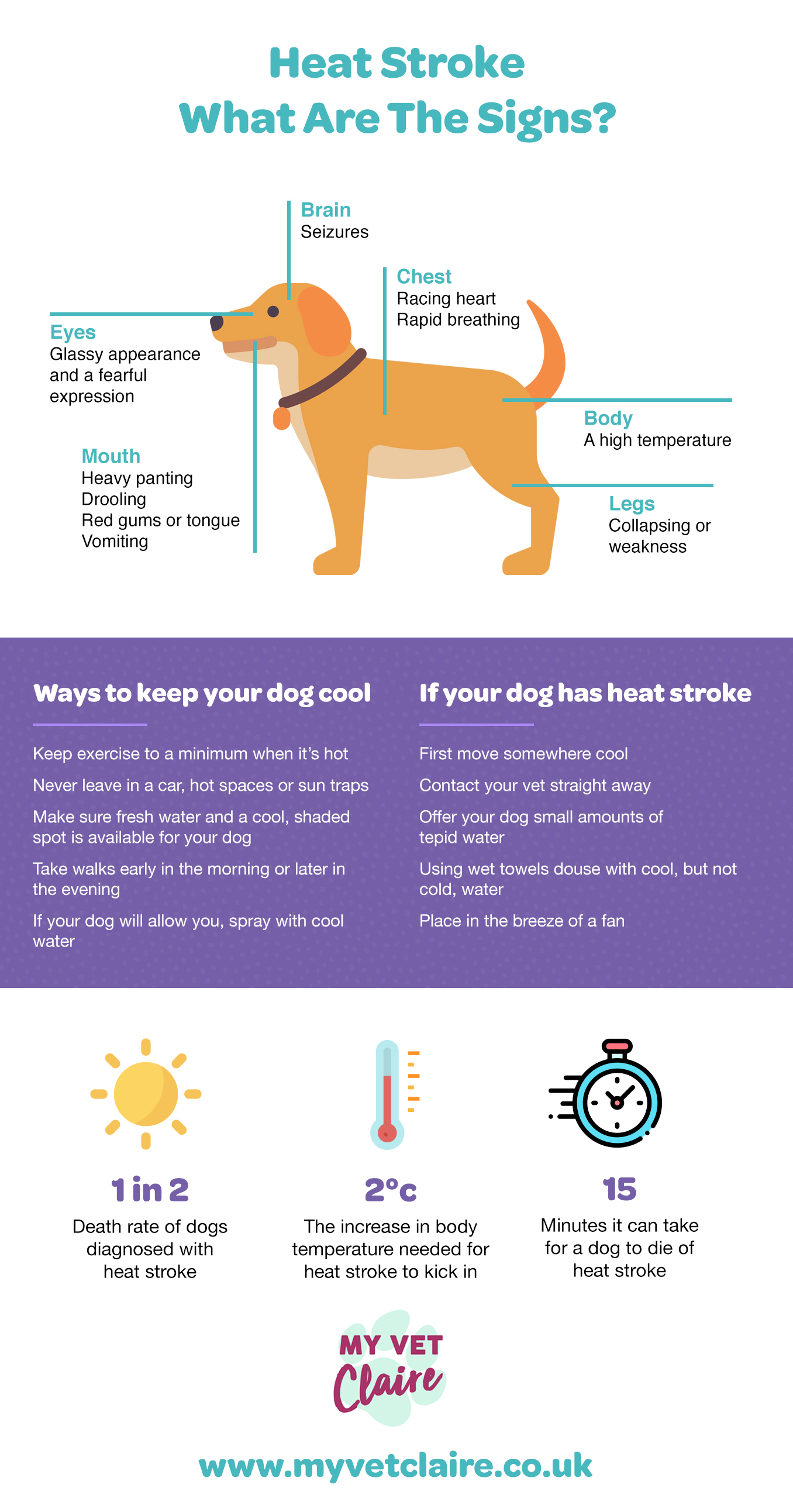 how to help my dog with heat stroke
