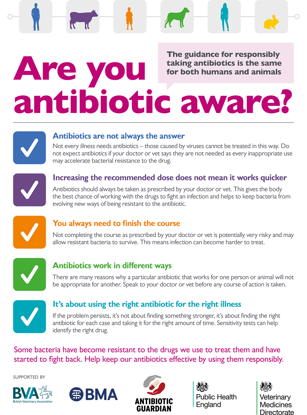 Veterinary poster about antibiotic usage